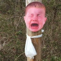 kevin hook (@kwhook) 's Twitter Profile