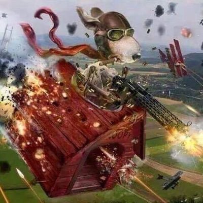 Beaver27Beaver's profile picture. 