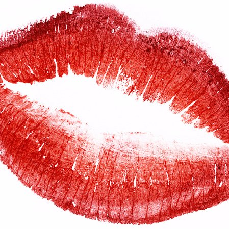 EstupidaSaLove's profile picture. 