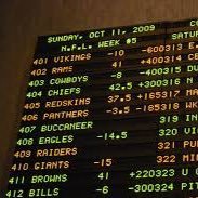 Two Professional handicappers offering 100% transparent picks. Record updated daily. DM for packages. Guaranteed winners or money back