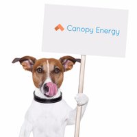 Canopy Energy (@canopy_energy) 's Twitter Profile