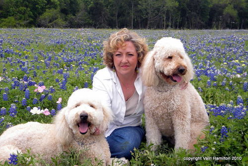 Doodle-mom, social media mgr, life coach, crystal healer, photo bug, cloud watcher