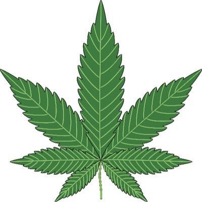 Cannabis Social Club Almelo heeft als doel de rechten van cannabisconsumenten/- producenten te beschermen. Initiatief van de Libertarische Partij Almelo