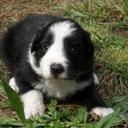 Danielle Henley - @_mrsrichards_ - Twitter