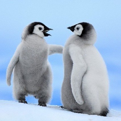 farkhatqtto's profile picture. やっぱり、なにするにも先人きっていくのはいやだよねー