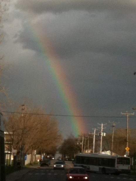 Freedom_Visions's profile picture. 