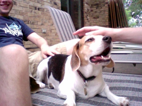 bmog972's profile picture. 