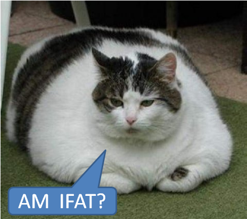 情報処理学会 情報基礎とアクセス技術研究会(IFAT) 旧・情報学基礎研究会(FI)
IPSJ SIG on Information Fundamentals and Access Technologies