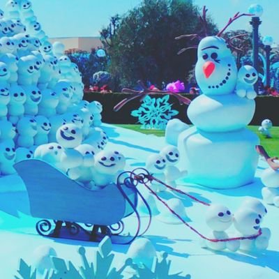 contrabaaaass's profile picture. 聖隷ST → Nagoya