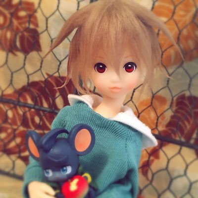 pumiran🫧さんのプロフィール画像