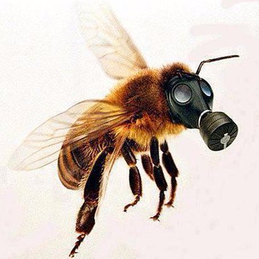 Queen Bee. Writer. Provocateur. Potential Pantheist. Cashews. Vanilla. Rare to medium rare.