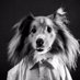 Seppo (@seppokoira) Twitter profile photo Seppo (@seppokoira) Twitter profile photo
