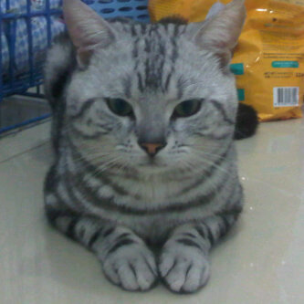 tarkoonkarntip's profile picture. 