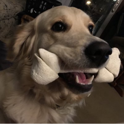 JGraffum's profile picture. “take less than you give”.  Support our Veterans.