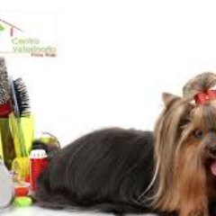 Peluqueria Canina en Las Palmas de Gran Canaria