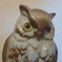 Eule (@platypus035) 's Twitter Profile