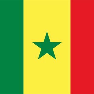 Compte officiel de l'Ambassade du Sénégal en France.