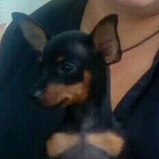 jeffer_rondon17's profile picture. 