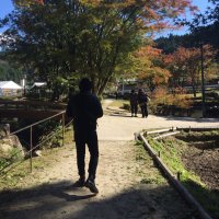 udon hakase (@udon_hakase777) 's Twitter Profile