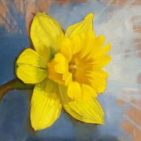 Frances Cooley (@francescooleyuk) 's Twitter Profile