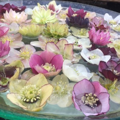 yoko_589's profile picture. 邦楽ロック中心に色々好き🎧／🇰🇷ドラマ好き／BTSはSUGAとJUNGKOOKが特に好き／⚾️ドラゴンズファン#1#2／🥢食べること、出かけるのが好き🚶‍♀️／神社仏閣は落ち着く所⛩️🙏