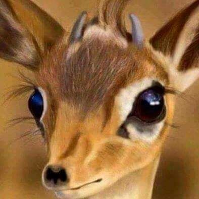“صوت جُرعة سعادة ، ذبذبات غزل ، و حُفنآت سُكرٍ لـ لذَتُها خمر يُسقيني فخامة !