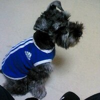 seiya_su (@seiya_su) Twitter profile photo