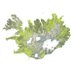Iceland (@thisisiceland) Twitter profile photo Iceland (@thisisiceland) Twitter profile photo
