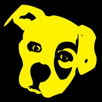 Big Yellow Dog Music (@thebigyellowdog) Twitter profile photo