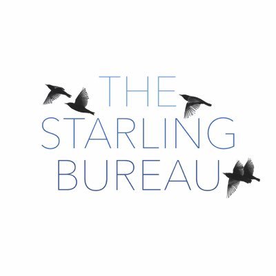 StarlingBureau Profile Picture