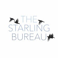 The Starling Bureau(@StarlingBureau) 's Twitter Profile Photo
