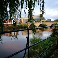 Shameem Gafoor 💙 (@that_shameem) 's Twitter Profile