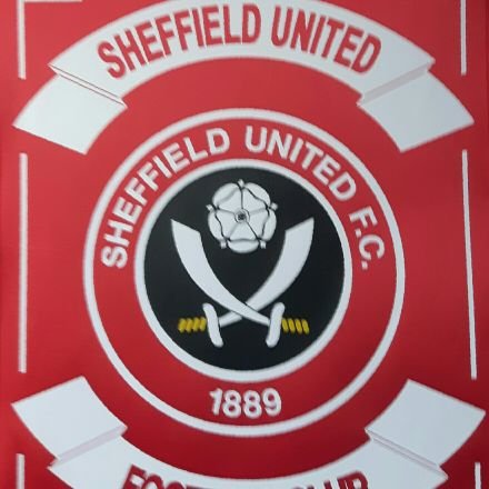 sheffield united fan,enjoys Sheffield hockey Steeldogs,Steelers and gym time  #twitterblades