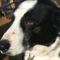 Mac (@yamully) 's Twitter Profile