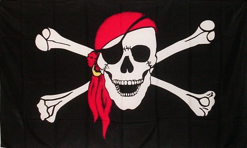 Guitar player, singer, song writer, comedian, TV personality, & rebellious pirate