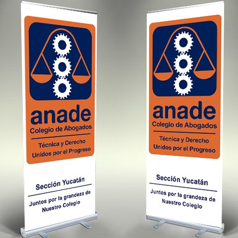 ANADESecciónYucatán Profile