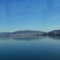 Sara González (@sgonpin1) 's Twitter Profile Photo