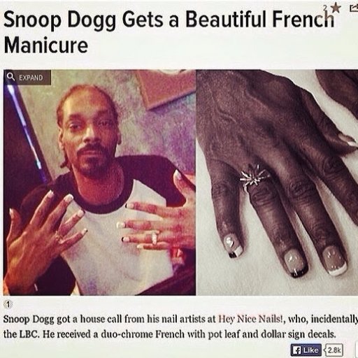 LilBitchWow's profile picture. 