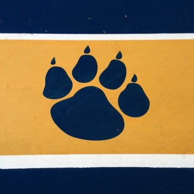 WandelliStation's profile picture. 