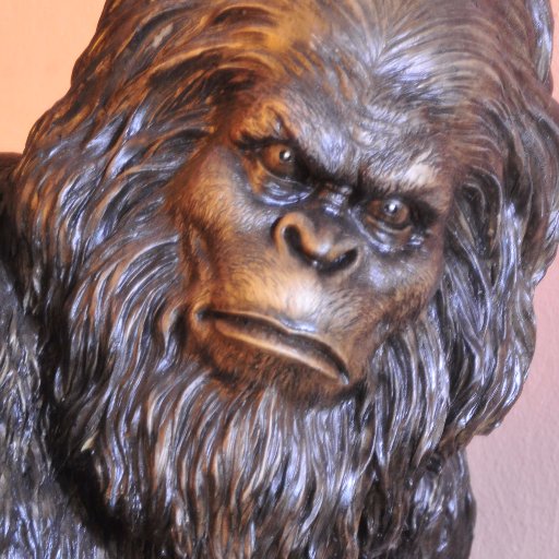 The Cryptozoology & Paranormal Museum in Littleton NC is dedicated to the study of Bigfoot information and artifacts Ghost evidence