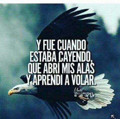 JuanCar65895173's profile picture. Amo la belleza de la mujer.