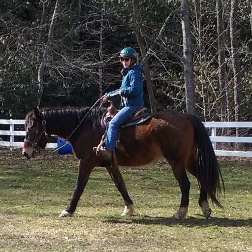 sARAH_J3910's profile picture. 