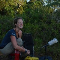 Dena J. Clink (@borneangibbons) 's Twitter Profile Photo Dena J. Clink (@borneangibbons) 's Twitter Profile Photo