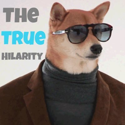 The Funniest Daily Videos|||| Follow for The Best Videos on Twitter|||| *we own no content posted*