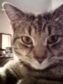 GP, cat lady, sci-fi nerd, belligerent advocate for the underdog