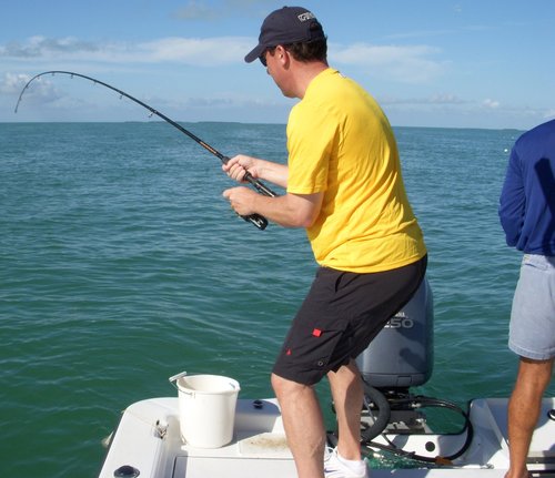 tlbrodie's profile picture. Love golf and travel, all-around great guy.