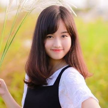 phamhue_ecom's profile picture. SEOer