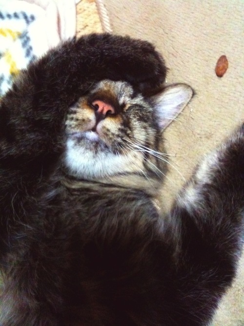 kouhei_2010's profile picture. 気ままにつぶやこうかと