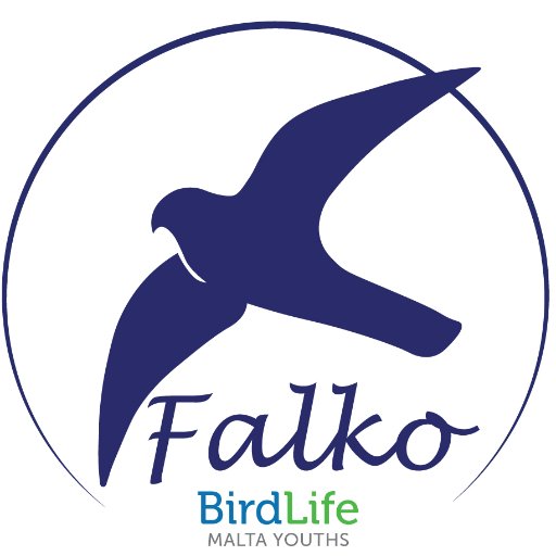 Falko is BirdLife Malta's youth group. Join us for regular events amongst Malta's best nature spaces.