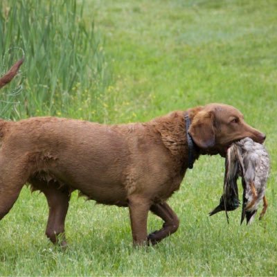 r_riptide's profile picture. 